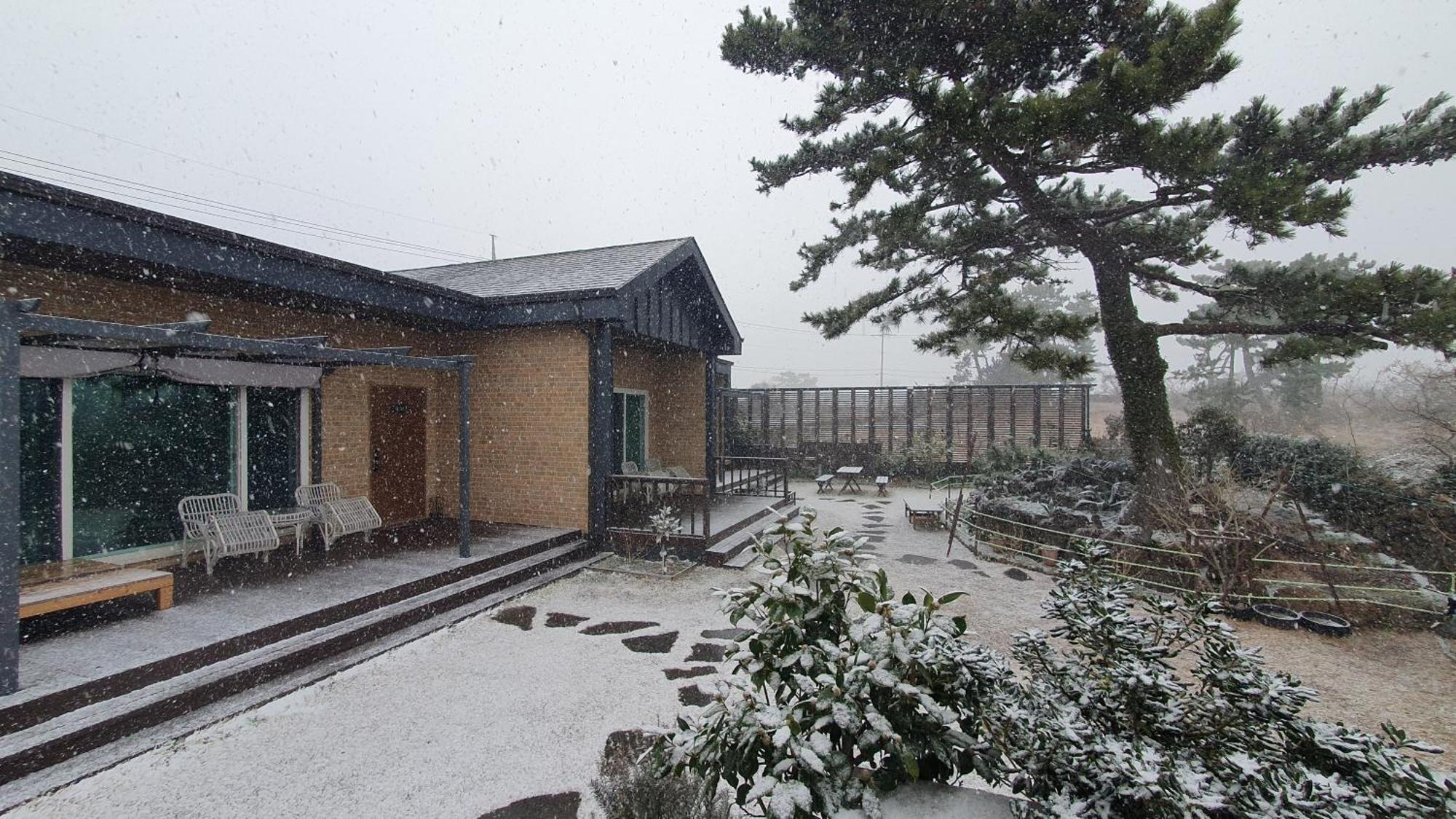 Wind Jeju Cafe & Pension ソギポ エクステリア 写真