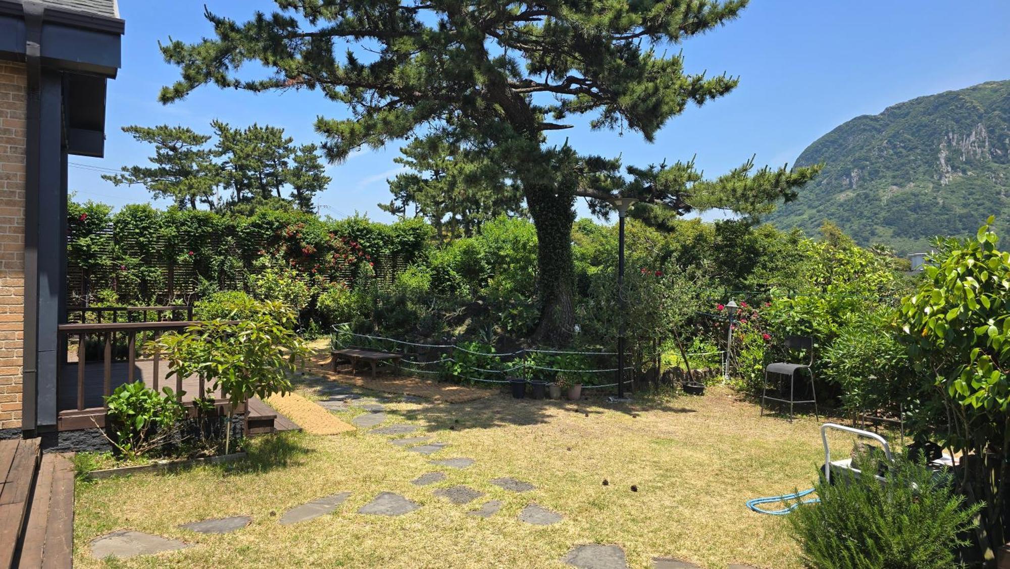 Wind Jeju Cafe & Pension ソギポ エクステリア 写真
