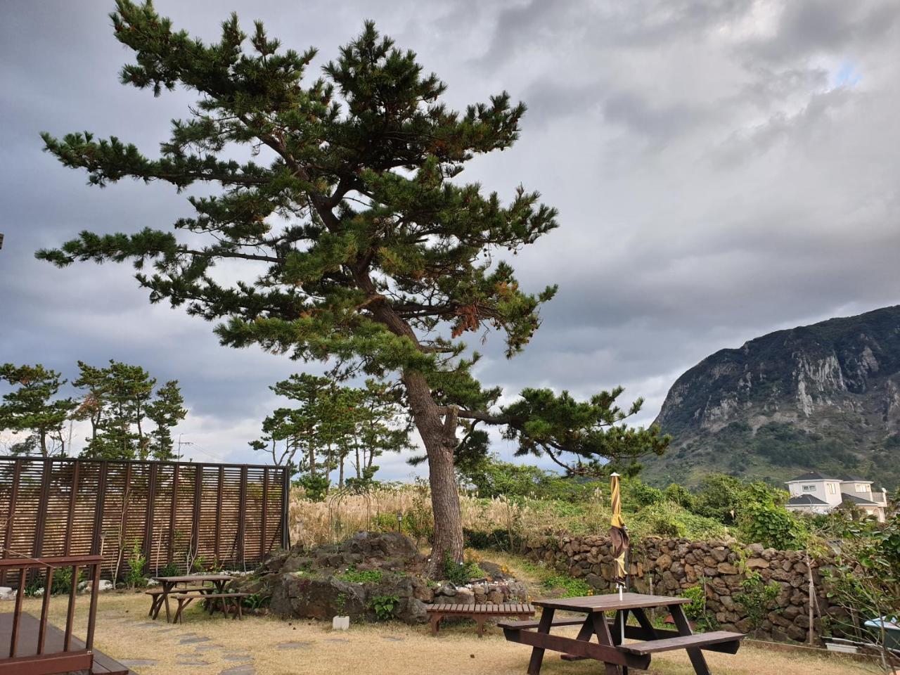 Wind Jeju Cafe & Pension ソギポ エクステリア 写真