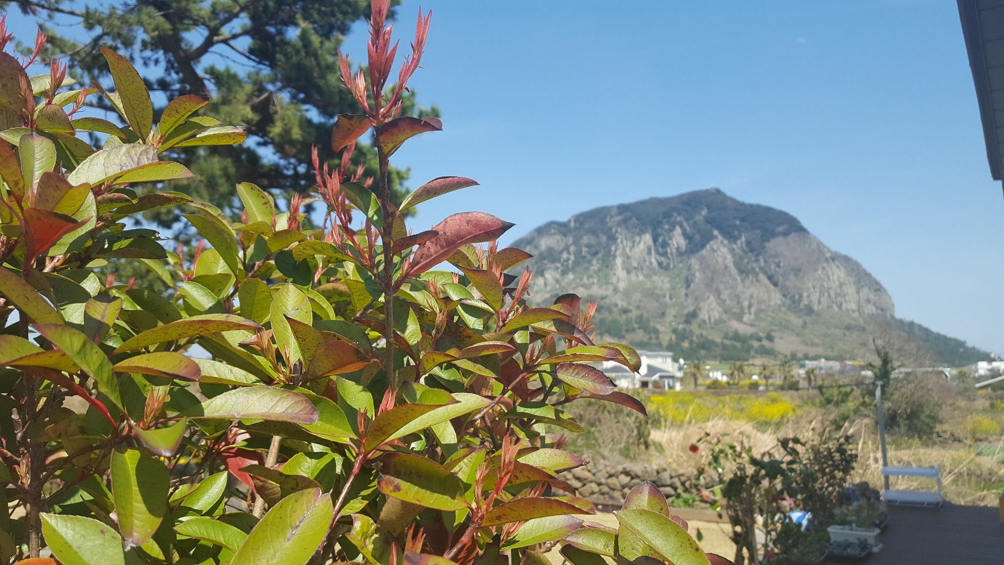 Wind Jeju Cafe & Pension ソギポ エクステリア 写真