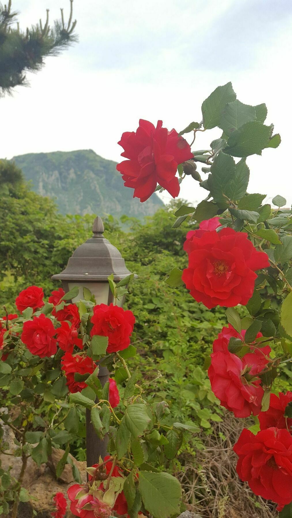 Wind Jeju Cafe & Pension ソギポ エクステリア 写真