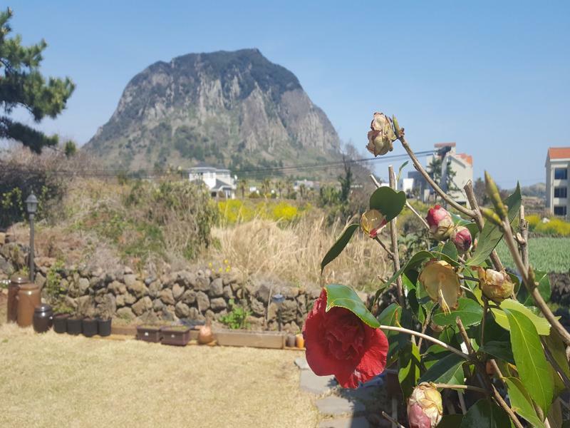 Wind Jeju Cafe & Pension ソギポ エクステリア 写真